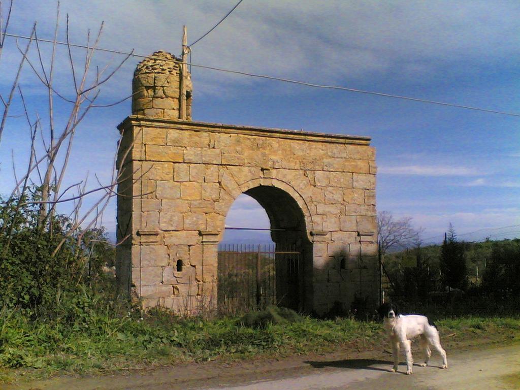 Pergusa Agriturismo Baglio Pollicarini מראה חיצוני תמונה