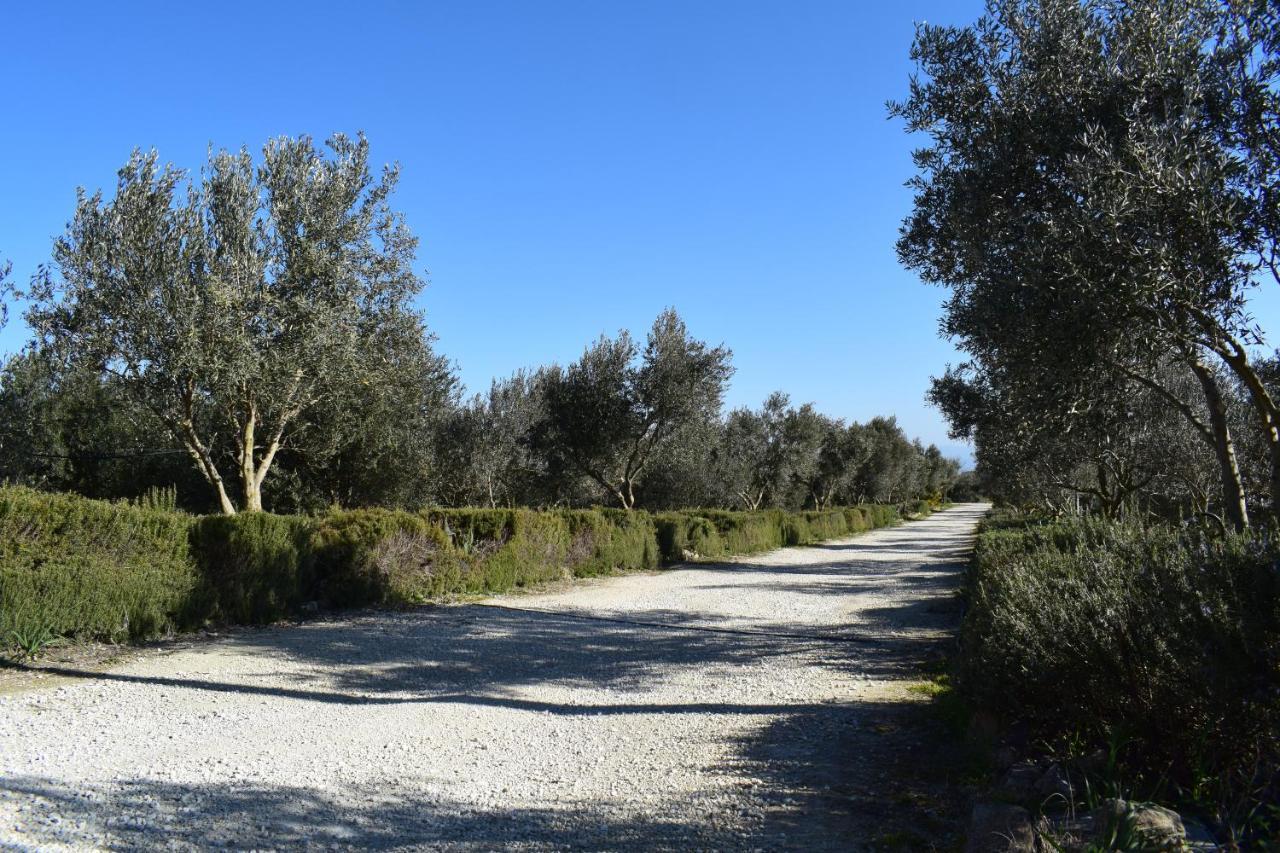Pergusa Agriturismo Baglio Pollicarini מראה חיצוני תמונה